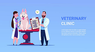 现代兽医诊所中的动物医学与护理理念 犬学研究的核心实践