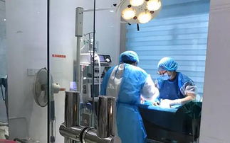 贵阳宠物守护指南 10个狂犬疫苗注射点与17所实体宠物医院一览